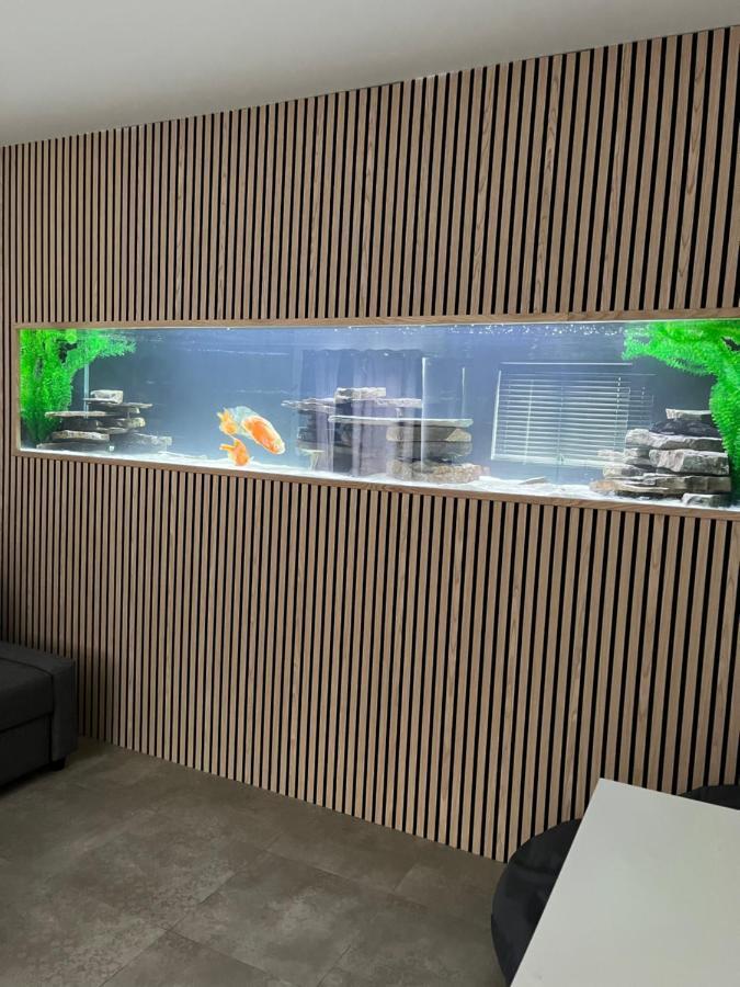 Terfyn Hall Aquarium Apartment 1 プレタティン エクステリア 写真