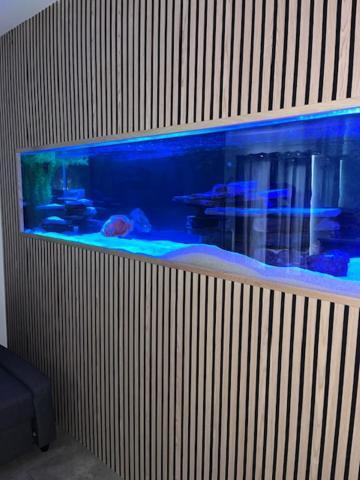 Terfyn Hall Aquarium Apartment 1 プレタティン エクステリア 写真
